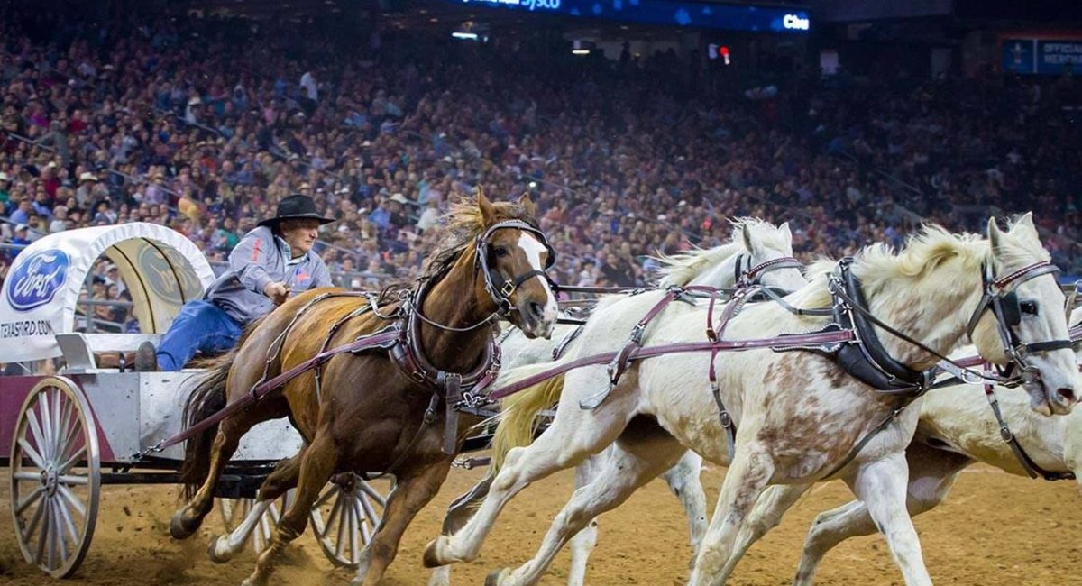23 Bposhtels Houston Rodeo